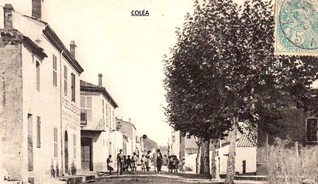 Colea - rue d'Oran.jpg